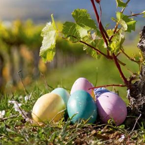 Семеен &lt;em>Великден&lt;/em> сред лозята на Chateau Copsa