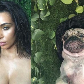 Мопсът Дъг пресъздаде секси селфитата на &lt;em>Ким&lt;/em> &lt;em>Кардашиян&lt;/em>