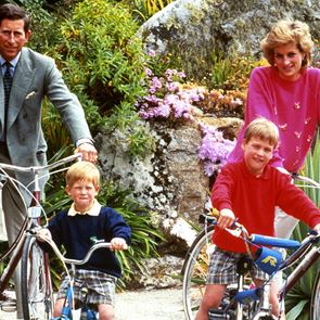 Вечният траур на принц &lt;em>Хари&lt;/em> и принц Уилям