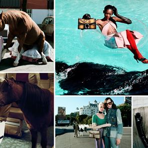 High fashion коне в новата колекция на &lt;em>Gucci&lt;/em>