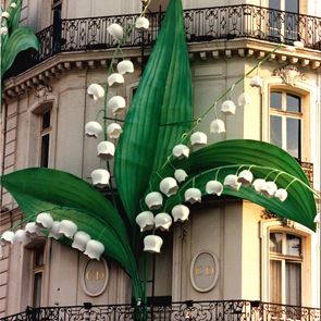 Koе е късметлийското цвете на Кристиан Диор