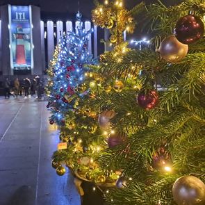 Деца подкрепят деца в тазгодишната кампания &quot;Елхи на таланта