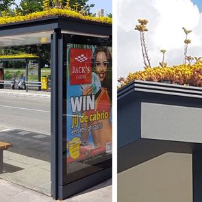 В Холандия превърнаха над 300 спирки в екосистеми за пчели