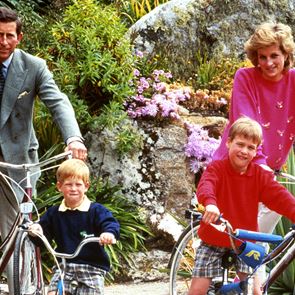 Уилям и &lt;em>Хари&lt;/em> обвиниха медиите за смъртта на принцеса Даяна