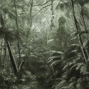 &lt;em>Cartier&lt;/em> открива в Париж изложба, посветена на дърветата