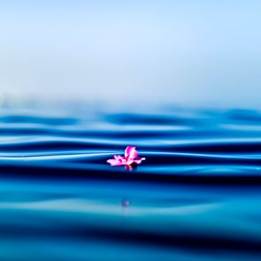 Полезни съвети за менталното ви здраве