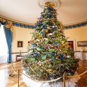 Коледната украса в Белия дом носи послание за мир и спокойствие