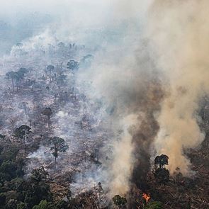 Модна компания дарява 10 млн. евро за борба с пожарите в Амазония
