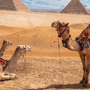 GRAZIA Travel гайд: Египет на въпросите