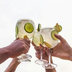 Любимите ни пет коктейла с джин