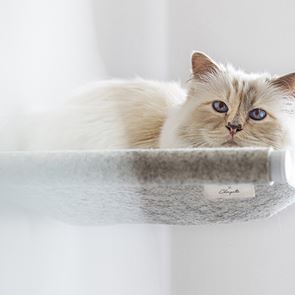 Не се шегуваме, котката на Карл Лагерфелд не спира да прави бизнес