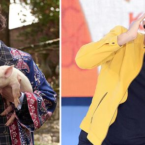 Какво свързва &lt;em>Хари&lt;/em> &lt;em>Стайлс&lt;/em> и Ник Картър?