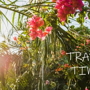 Къде да пътуваме без PCR