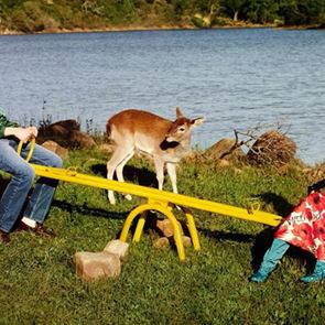 Социалната отговорност и модата вървят ръка за ръка с &lt;em>Gucci&lt;/em> Equilibrium