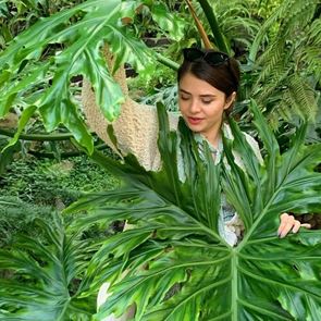 Зелената светлина на Диана Трайкова