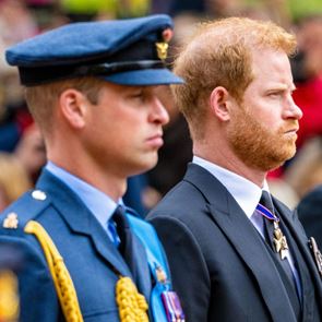 Болестта на Кейт събира Уилям и Хари