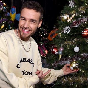 28 цветни идеи за елхата от домовете на звездите