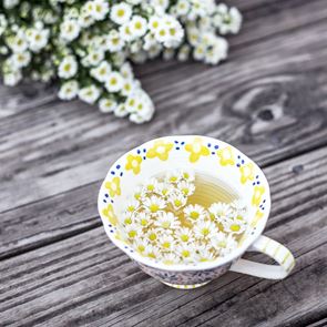 Големите ползи на чая от лайка