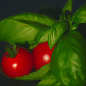 Големите ползи на босилека