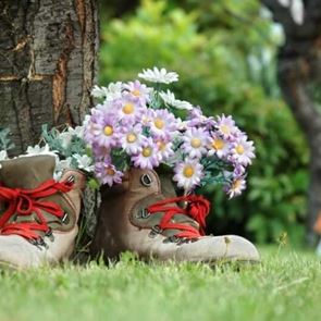 Градина в обувка