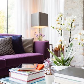 Идеи за красива холна маса