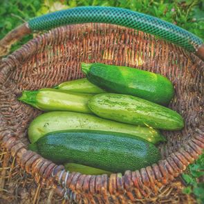 Големите ползи на тиквичките