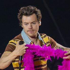 Фен удари &lt;em>Хари&lt;/em> &lt;em>Стайлс&lt;/em> в лицето по време на концерт