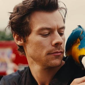 Хари Стайлс е кралят на 2023 година