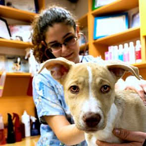 WONDER WOMEN: Vol. 1 с д-р Елза Харизанова