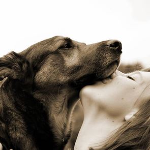 Кучешки фест, кучешки живот и кучешки забавления