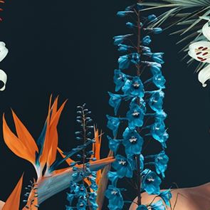 Fashion Recreation: 11 звездни дами пресъздават 11 образа, чиято история оставя следа