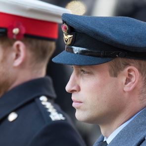 Документален филм ще събере принц Уилям и принц &lt;em>Хари&lt;/em>