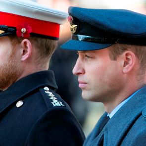 &lt;em>Хари&lt;/em> и Уилям определено не са сред феновете на &quot;Короната&quot;