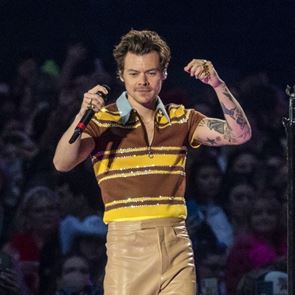 &lt;em>Хари&lt;/em> &lt;em>Стайлс&lt;/em> спря концерт заради бременна фенка