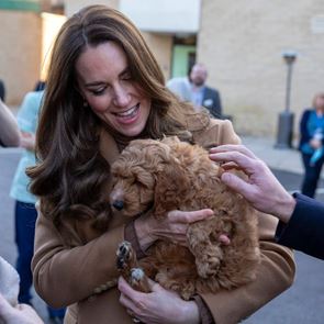 Джеймс, Пипа и &lt;em>Кейт&lt;/em> &lt;em>Мидълтън&lt;/em> са посещавали терапия