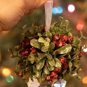 Нежелани гости на Коледа