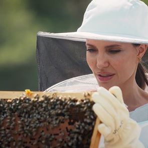 Анджелина Джоли може да се занимава с пчеларство