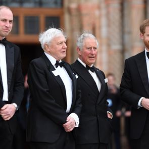 Принц &lt;em>Хари&lt;/em> за първи път проговори за отношенията с брат си Уилям