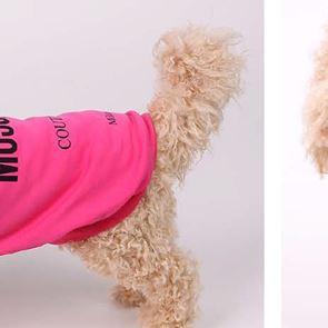 &lt;em>Moschino&lt;/em> пуска дизайнерска колекция за домашни любимци