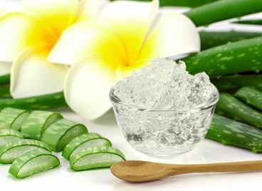 Няколко причини да заложите на козметика с алое вера