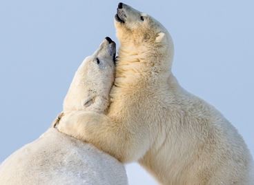 14 очарователни кадъра за Международния ден на прегръдката