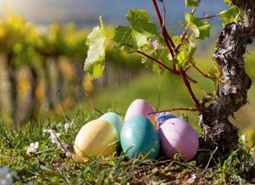Семеен Великден сред лозята на Chateau Copsa