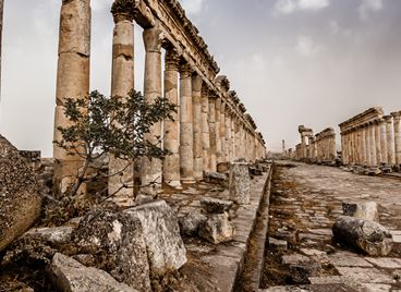 Вижте най-зашеметяващите фотографии тази година (ГАЛЕРИЯ)