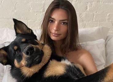 Световeн ден на кучето! Вижте 30 звезди и техните любимци