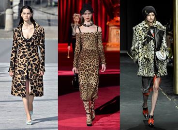 Да защитим ли леопардовия принт?