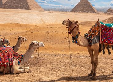 GRAZIA Travel гайд: Египет на въпросите