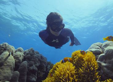 "Под повърхността: Спасяването на коралите" и необикновеното пътешествие на Салма Шaкeр