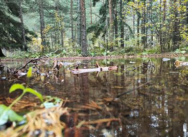 Да уловиш есента по най-красивия начин!