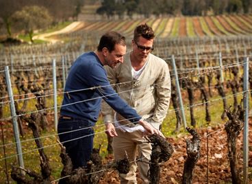 Съдят Брад Пит за финансова измама