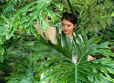 Зелената светлина на Диана Трайкова